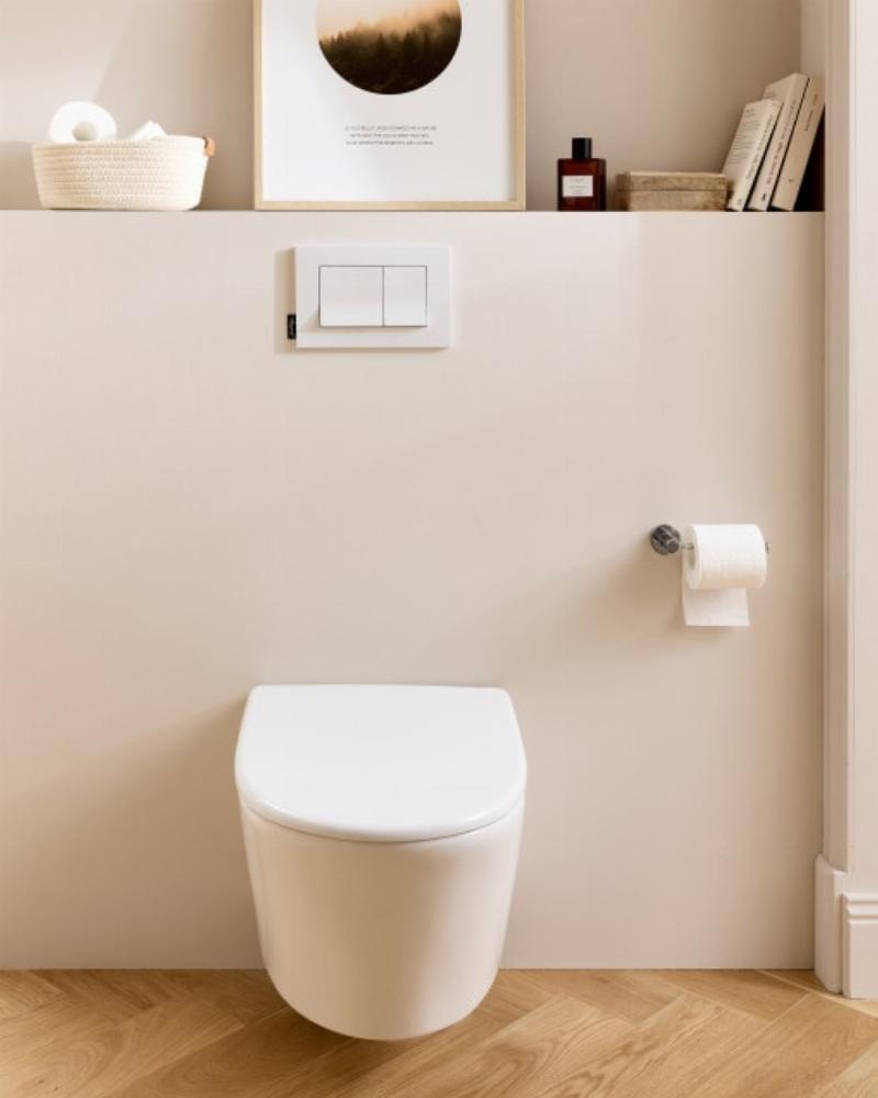 Peinture toilettes idée élégante avec décorations françaises raffinées